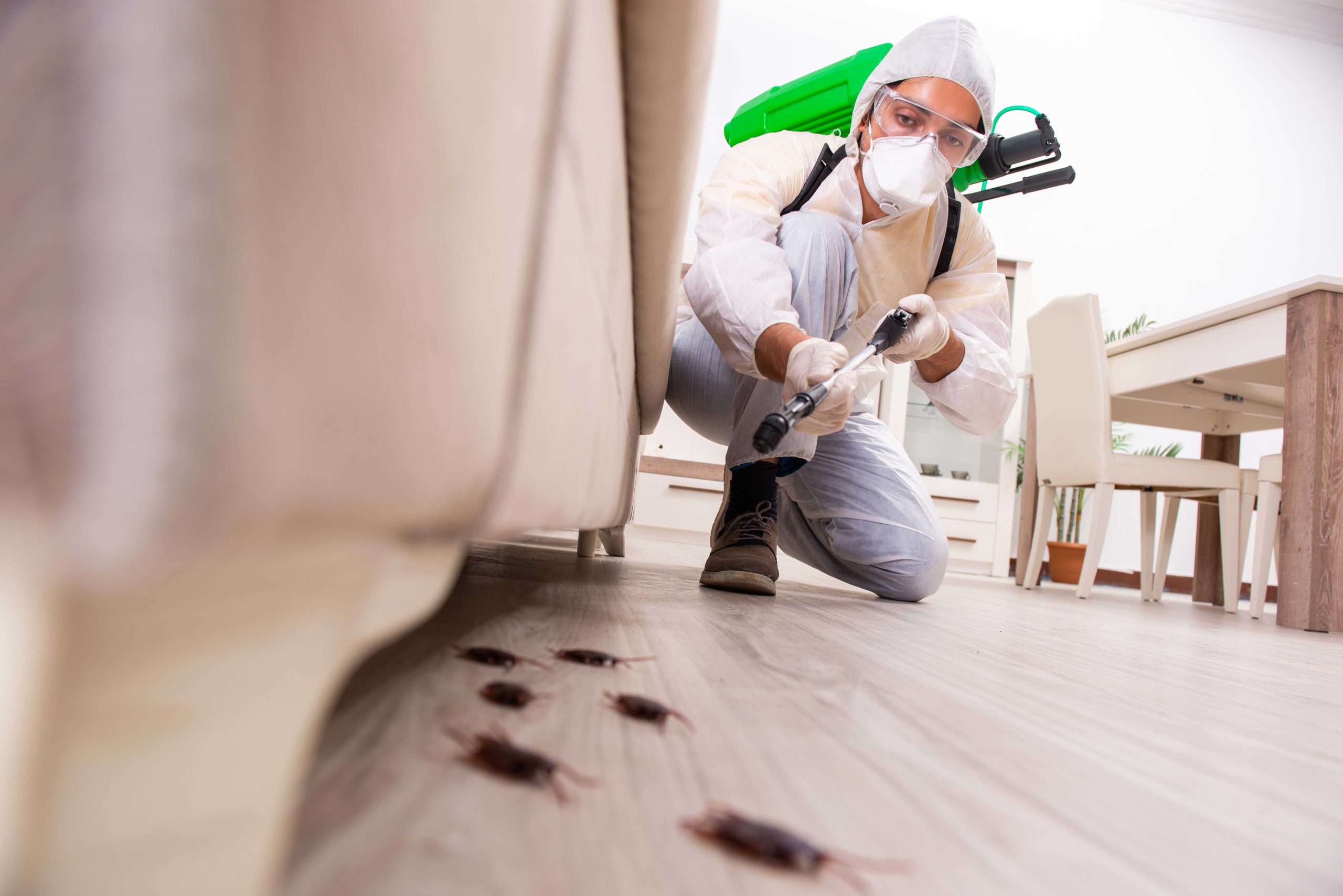 A picture of a man holding a can of pest control spray and aiming it at an unseen pest. The man appears to be indoors, possibly in a kitchen or other area where pests may be present. If you are dealing with a pest infestation in Seymour, IN, consider contacting a professional pest control company in the area for assistance.